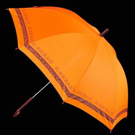 オレンジロゴタイプ傘